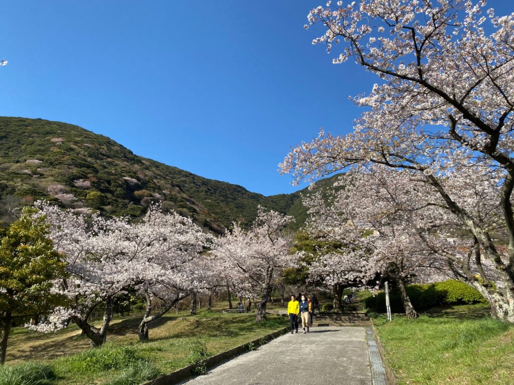 花見特集 北九州の桜の見応え度と名所11選 Vol 2